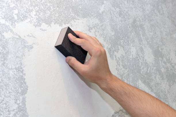 Professional Mold Removal in Hockessin, DE