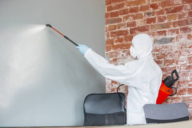 Best Industrial Mold Remediation  in Hockessin, DE