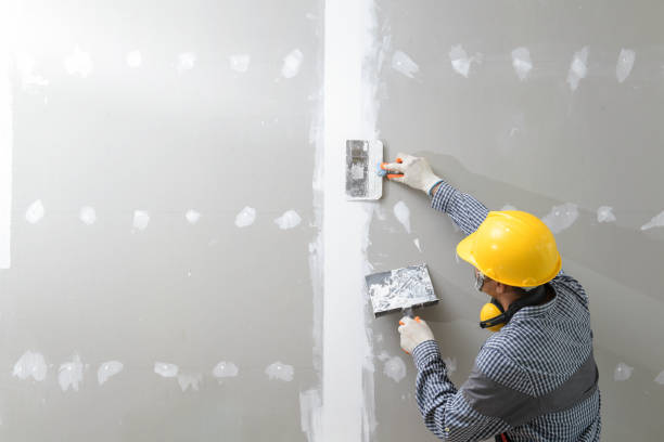Environmental Consulting for Mold Prevention in Hockessin, DE