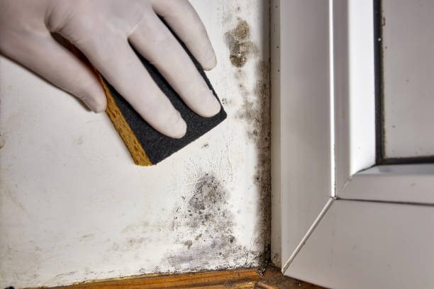 Best Dehumidification Services  in Hockessin, DE